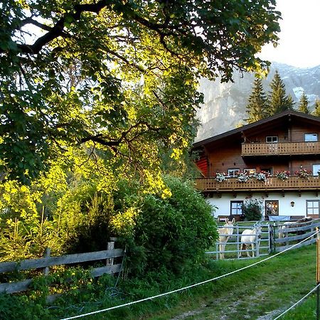 Haus Berghild Apartment Ramsau am Dachstein Ngoại thất bức ảnh