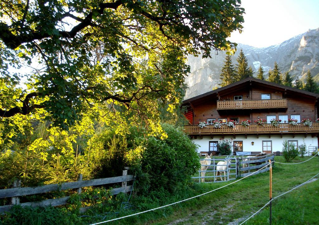 Haus Berghild Apartment Ramsau am Dachstein Ngoại thất bức ảnh